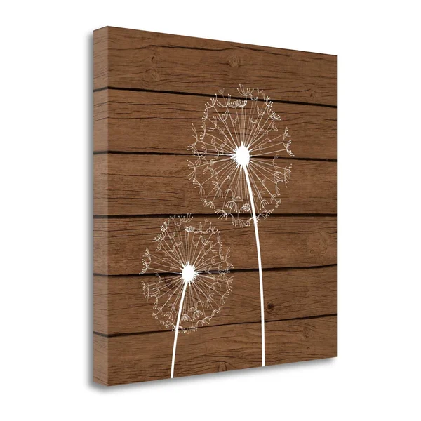 Tangletown Fine Art Brown Dandelion III by Tamara Robinson, Giclee Print on Wrap Canvas, 23x23x22