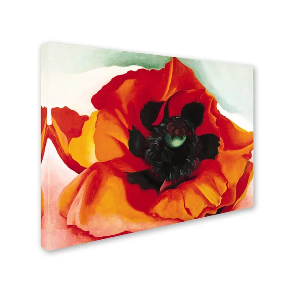 Georgia O&Keefe &Poppy& Canvas Art - 35x47