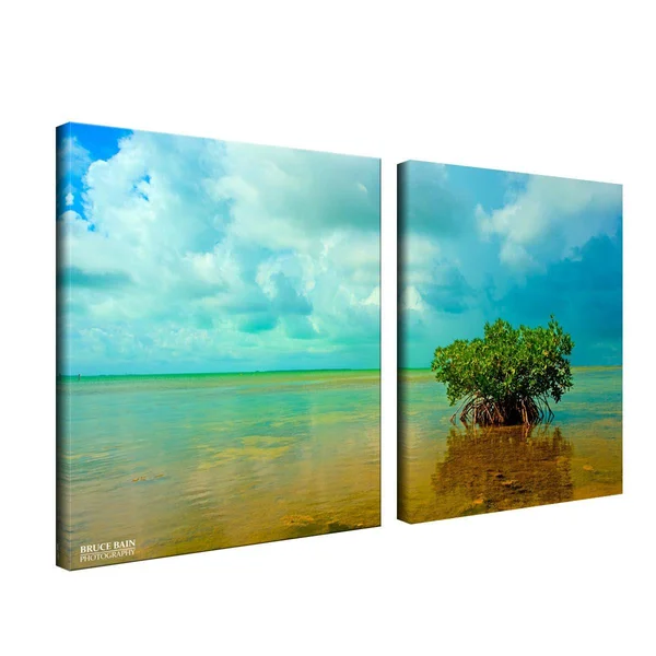 Lone Mangrove' 2-Piece Wrapped Canvas Wall Art Set