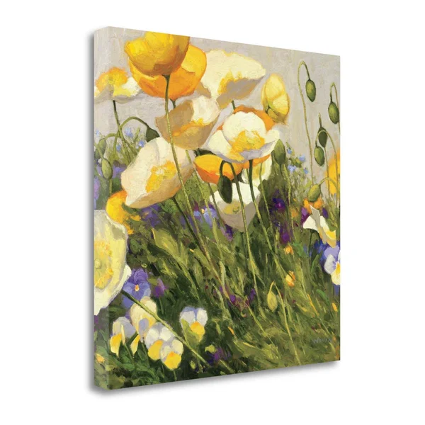 Tangletown Fine Art Poppies and Pansies I by Shirley Novak - Giclee Print on Wrap Canvas, 28x28x22