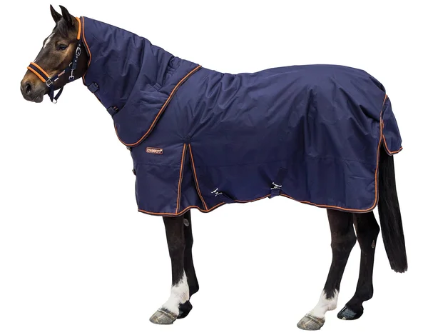 Loveson Turnout 350g Plus 72 Navy