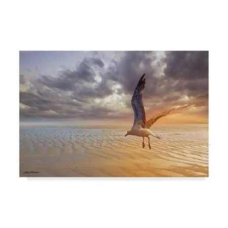 Trademark Fine Art 'Soft Sunrise on The Beach 4' Canvas Art by Carlos Casamayor - Size: 30 x 47