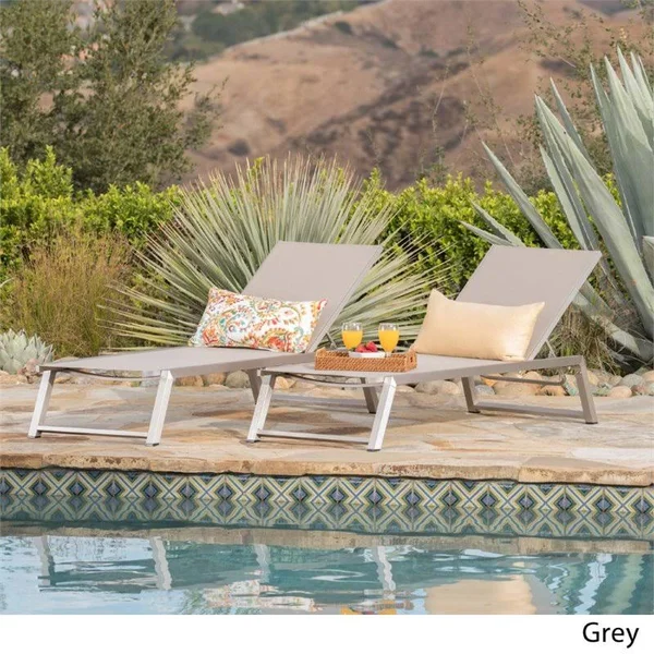 Noble House Myers Outdoor Aluminum Chaise Lounge in Gray (Set of 2)