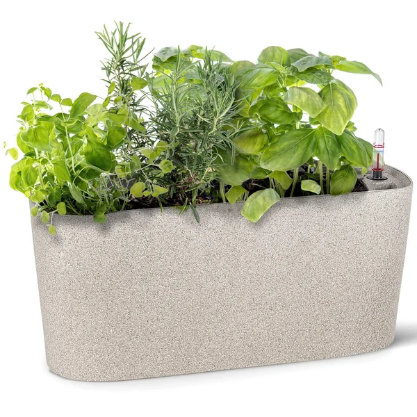 Windowsill Rectangular Self Watering Herb Garden, Large Plastic Planter Pot for Herbs, Greens, Flowers, House Plants and Succul