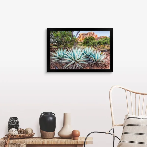 Agave Plants and Cathedral Rock, Sedona AZ, Black Framed Wall Art, 30x20, Great Big Canvas