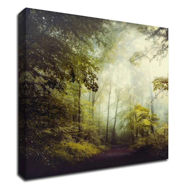 24x22 x 24x22 Glorious Woods by Dirk Wustenhagen Print on Canvas