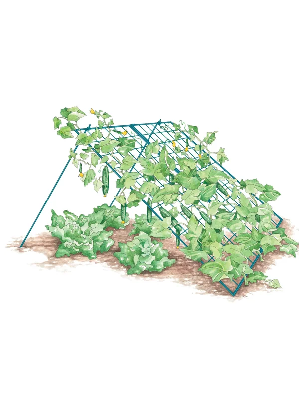 Large Cucumber Trellis - Storm Blue
