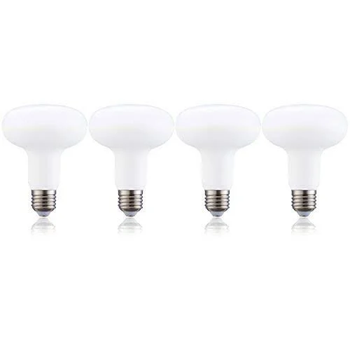 BR30 Flood Light Bulbs - R30 E26 Dimmable 12W(120W Equivalent) LED Bulb, 5000K (Daylight White), 1200Lumens, 4-Pack