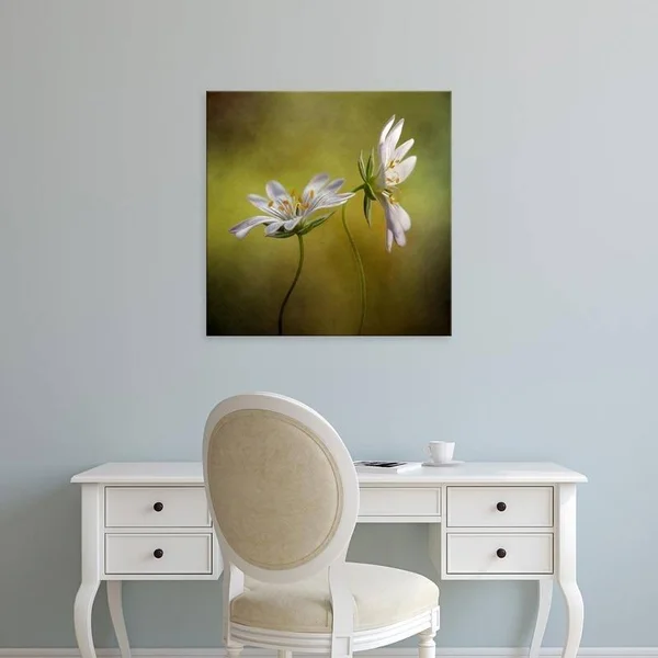 Easy Art Prints Mandy Disher's 'Echo' Premium Canvas Art - 24 x 24 - Modern Black Frame