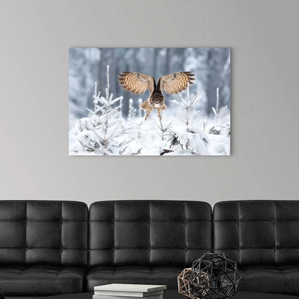Eurasian Eagle-Owl - Canvas Wall Art, 36x24, Great Big Canvas