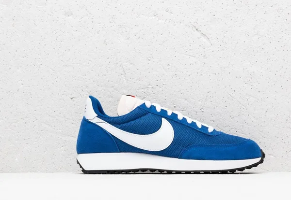 Nike Air Tailwind 79 Indigo Force