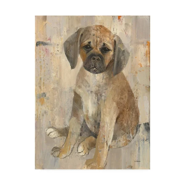 Trademark Fine Art 'Paco' Canvas Art by Albena Hristova, Size: 18 x 24