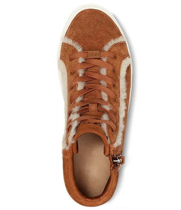 Ugg Women's Olli Heritage Sneaker Chestnut 6