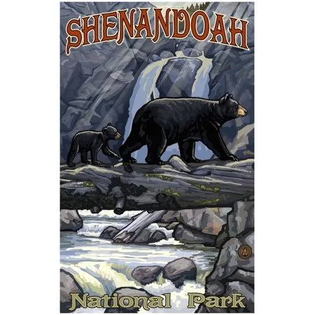 Shenandoah National Park Bear on Log Hills Giclee Art Print Poster by Paul A. Lanquist (30 inch x 45 inch) - Size: 30 x 45