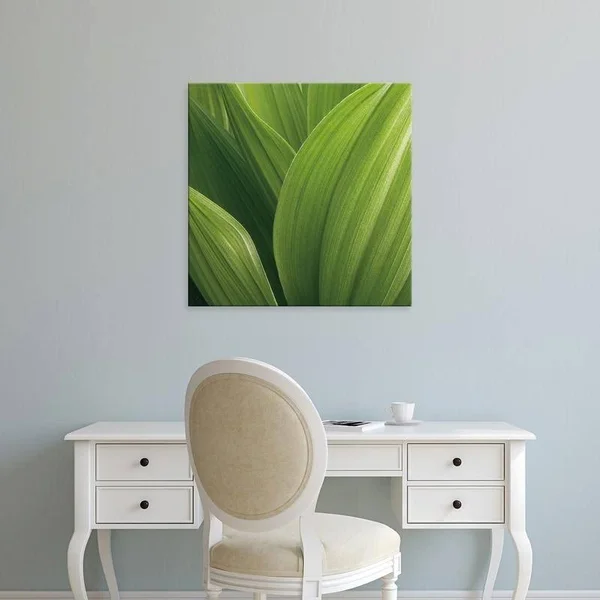 Easy Art Prints Jan Bell's 'Corn Lily' Premium Canvas Art (40 x 40)