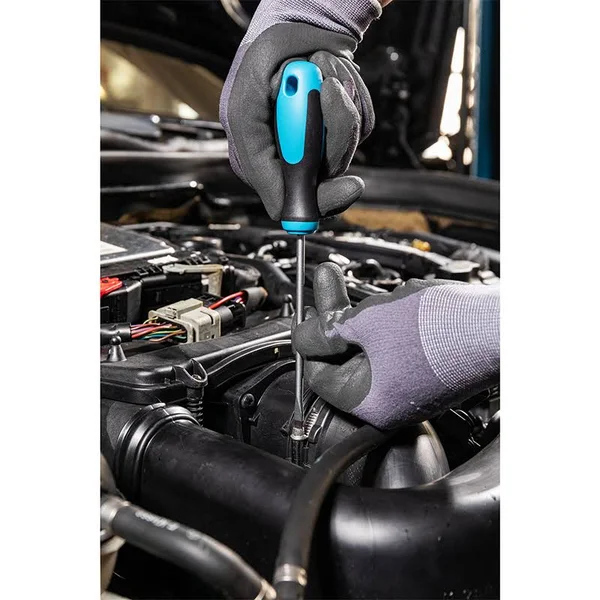 Hazet 163-265/6 Screwdriver Set
