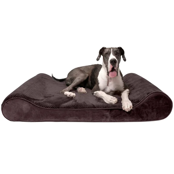 FurHaven Pet Dog Bed - Orthopedic Minky Plush & Velvet Luxe Lounger Pet Bed for Dogs & Cats (Espresso, Giant)