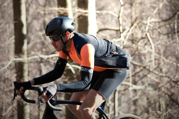 Santini Adapt Thermal Bib Shorts - Black