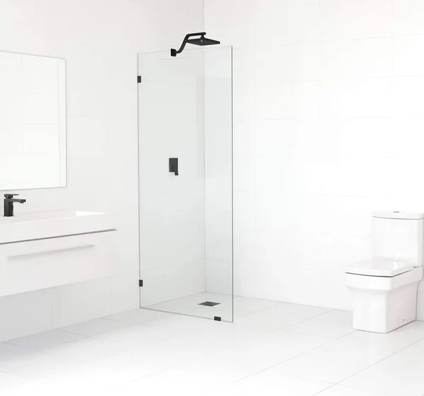 Glass Warehouse 78x22 x 22.5x22 Frameless Shower Door - Single Fixed Panel (Matte Black)