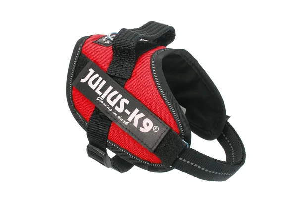 Julius-K9 IDC Powerharness Dog Harness - Blue, Size 2