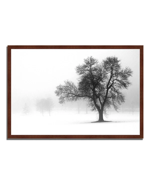 Tangletown Fine Art 22x22 x 32x22 Reaching Out Framed Photograph Print
