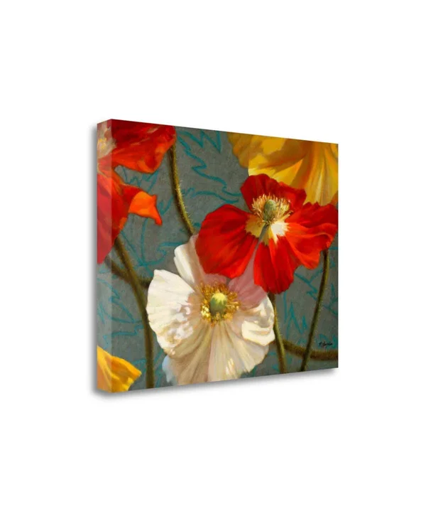 21x22 x 28x22 Poppycock by Jan Mclaughlin Fine Art Giclee Print