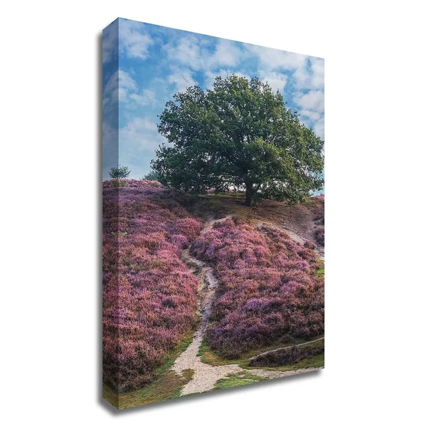 36x22 x 24x22 Purple Heath by Lars Van De Goor Print on Canvas