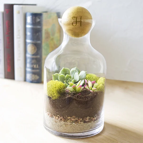 Personalized Glass Terrarium with Wood Ball Personalized 56-Ounce Clear Glass Terrarium with Wood Ball