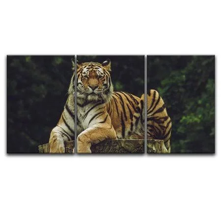 Wall26 - 3 Panel Canvas Wall Art - Tiger Lying on A Tree Stump - Giclee Print Gallery Wrap Modern Home Decor Ready to Hang - 24