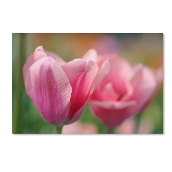 Trademark Art Tulip Flower Pink Mirella' Gallery-Wrapped Canvas Art