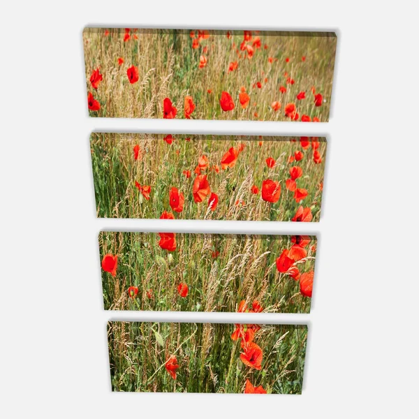 Designart &Red Poppy Field with Full of Flowers& Photographic Print on Wrapped Canvas Size: 40x22 H x 30x22 W x 1x22 D