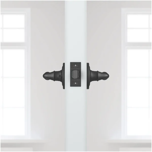 Baldwin PVFEDTRR152 Reserve Privacy Federal with Traditional Round Rose - Matte Antique Nickel Finish