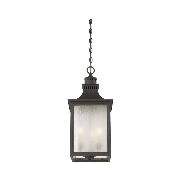 Savoy House 5-256-25 Monte Grande Slate Outdoor Hanging Lantern