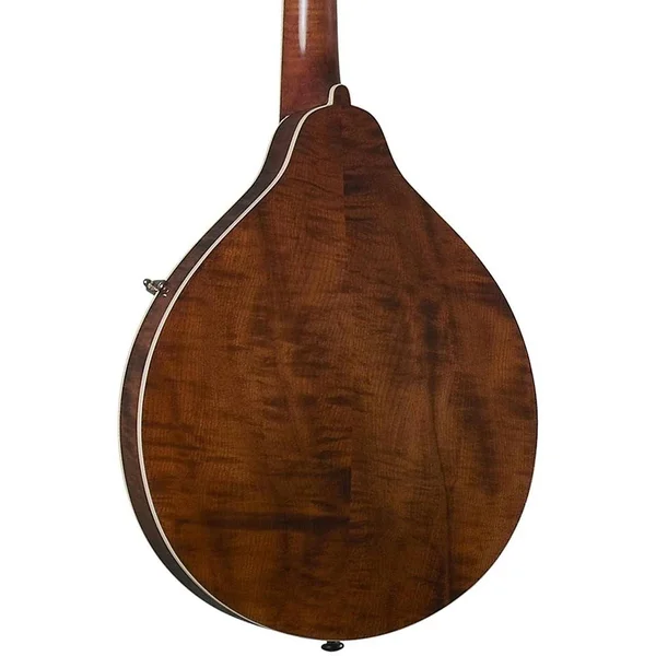 Kentucky KM-256 Artist A-Model Mandolin - Transparent Brown