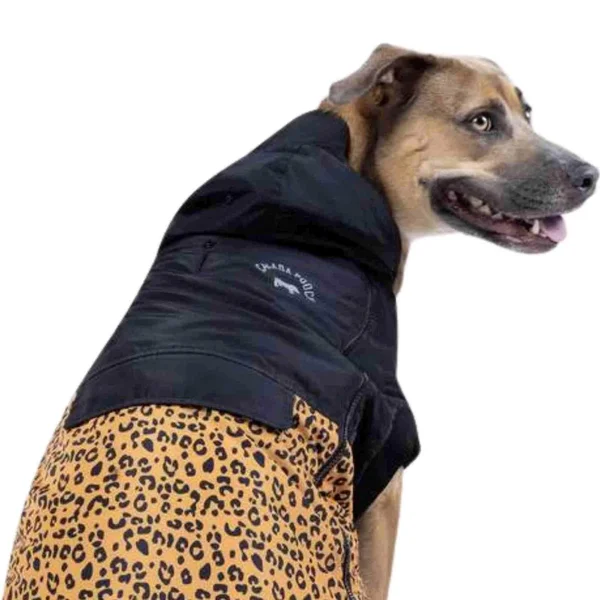 Canada Pooch Insulated 360 Leopard Dog Jacket 24