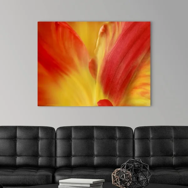 Tulipa - Canvas Wall Art, 40x30, Great Big Canvas