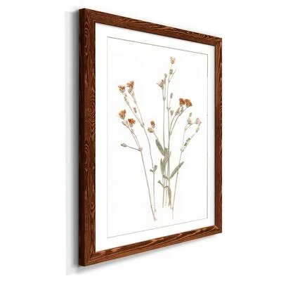 Pressed Botanical I - Print Gracie Oaks Frame Color: Maple - Size: 32x22 H x 23x22 W x 1x22 D