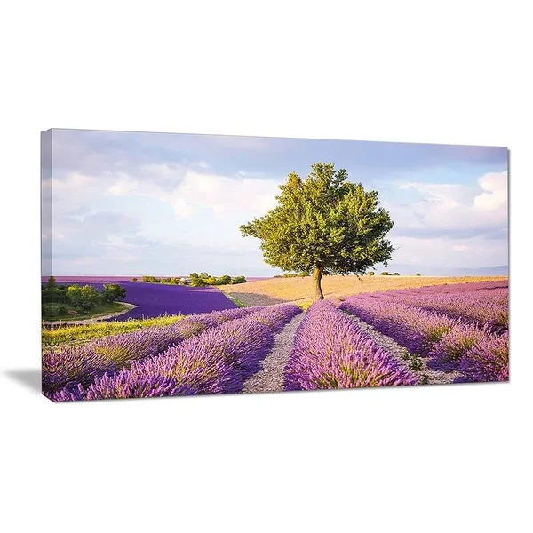 Design Art 'Lonely Green Tree in Lavender Field' Photographic Print on Wrapped Canvas