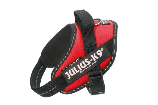 Julius-K9 IDC Powerharness Dog Harness - Blue, Size 2
