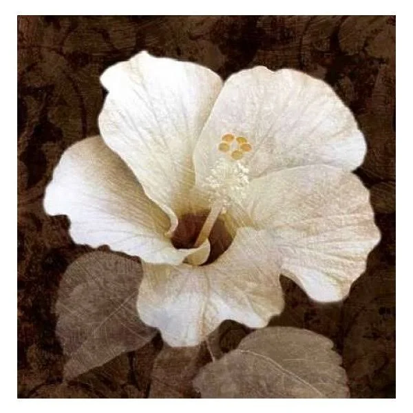 Posterazzi Verdant Blossom Poster Print by Keith Mallett (24 x 24)