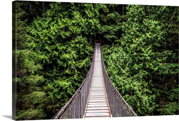 Capilano Suspension Bridge, North Vancouver, British Columbia, Canada, Canvas Wall Art, 24x16, Great Big Canvas