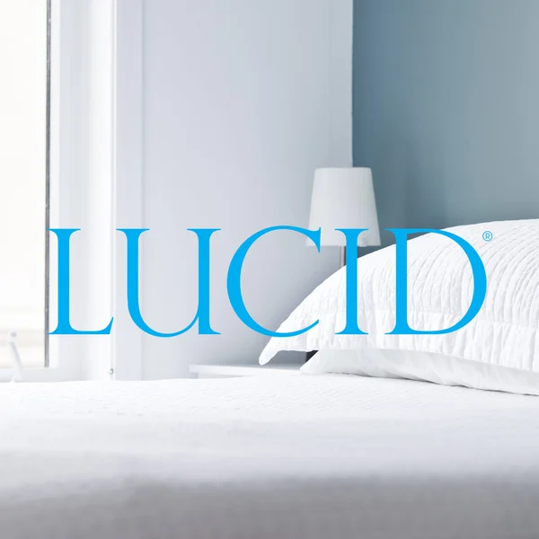 Lucid 4x22 Memory Foam Mattress Topper, California King