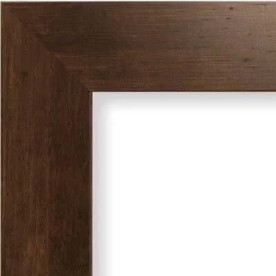 Wide Smooth Picture Frame Color: Mocha Brown - Size: 20x22 x 30x22