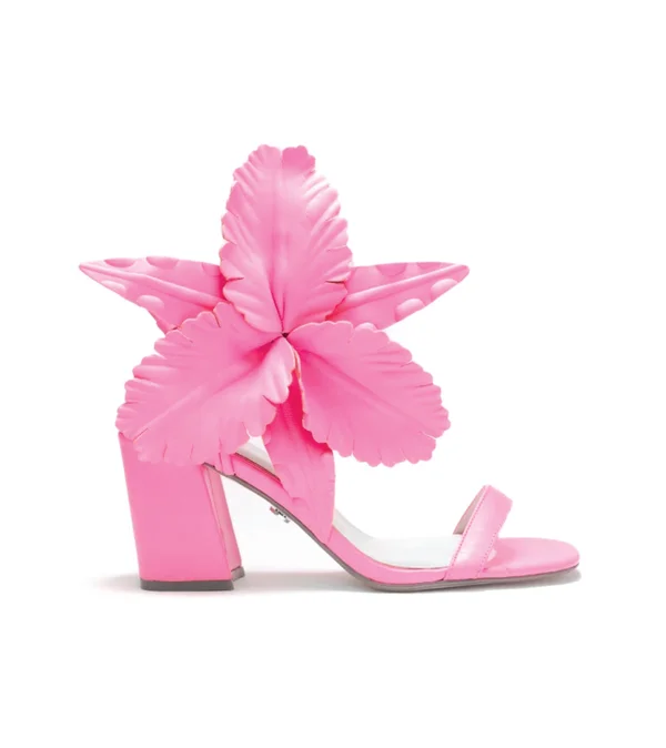 Women's Cecelia New York Hibiscus Sandal - Size 6 M - Pink