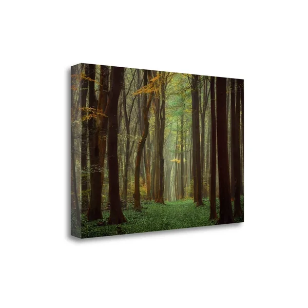 32x22 x 47x22 Arriving Nowhere by Lars Van De Goor Fine Art Giclee Print
