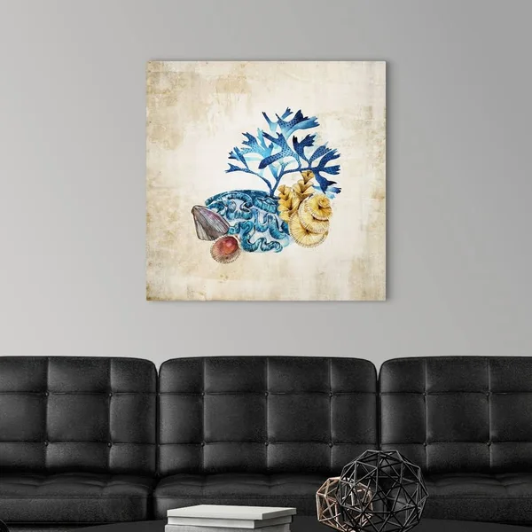 Sea Life II, Canvas Wall Art, 30x30, Great Big Canvas