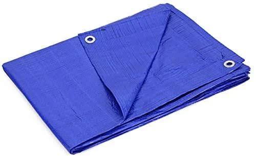 Kotap 100-ft x 100-ft General Purpose Blue Poly Tarp - Item: TRA-10100