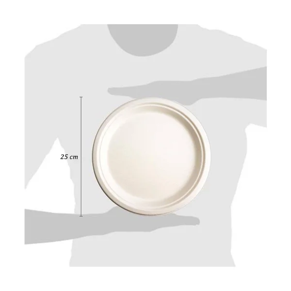 Green Earth - Natural Bagasse (Sugarcane Fiber) Tree Free 10x22 Paper Plate, Biodegradable, Compostable (500 Counts Disposable