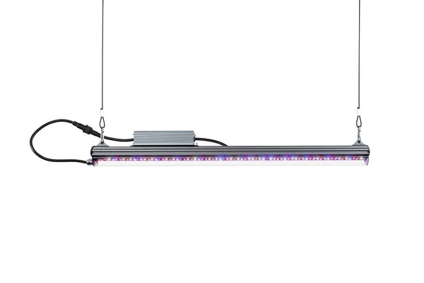 Kind LED X80 Flower Bar Light - 4&