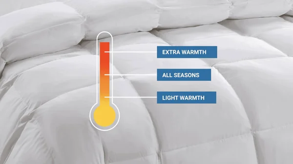 Kathy Ireland Light Warmth White Goose Feather and Down Fiber Comforter Twin